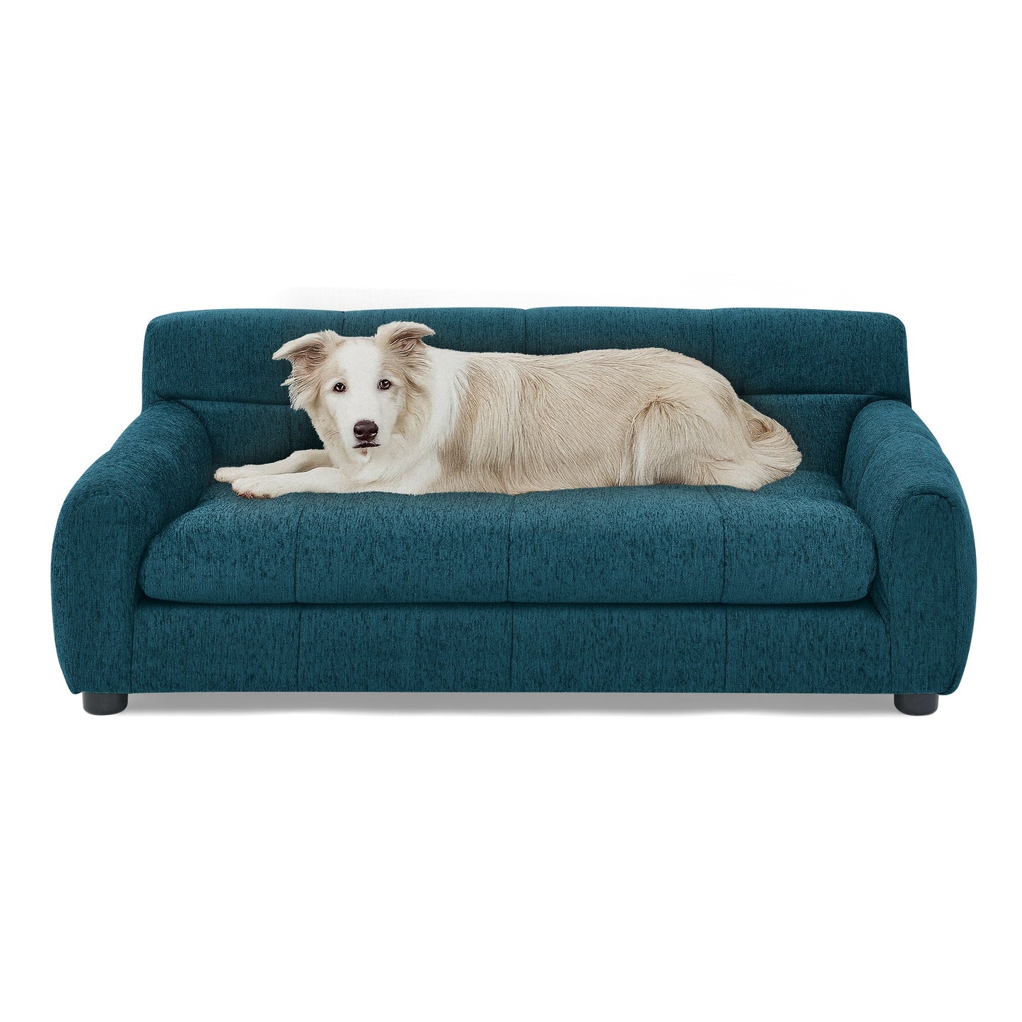 Soft Pet Sofa with Backrest and Armrests for Pets