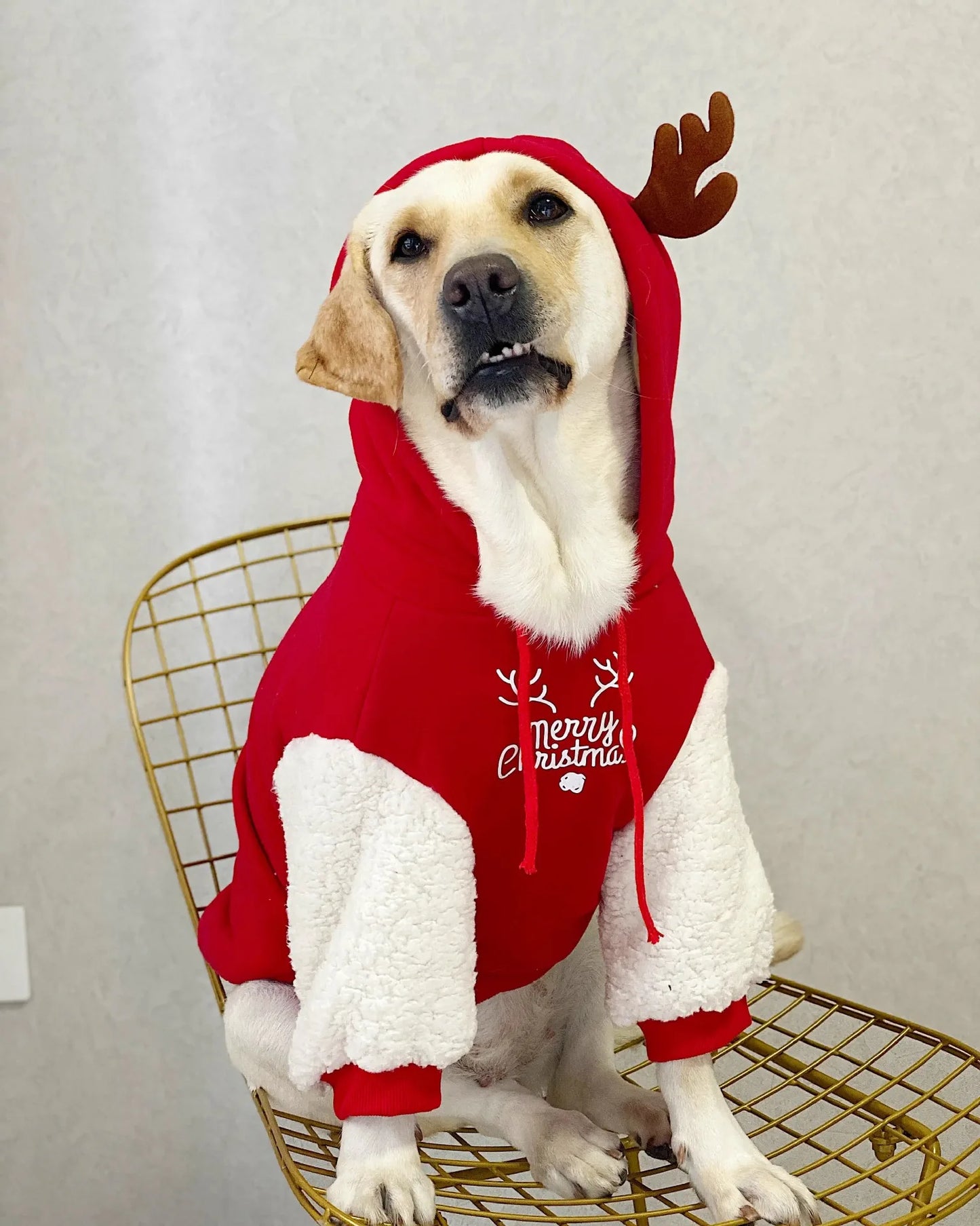 Winter Warm Dog Sweatshirt Cotton Fleece Christmas Clothes Large
