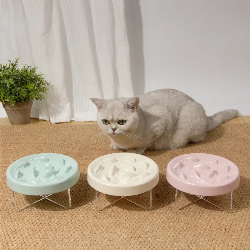 Raised Anti-Choke Cat Food Bowl Slow Feeder for Cats