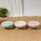 Raised Anti-Choke Cat Food Bowl Slow Feeder for Cats