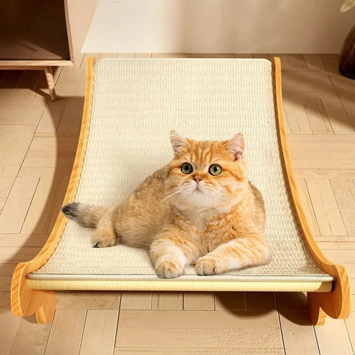 Detachable Wooden Cat Scratcher Bed Grinding Toy for Cats
