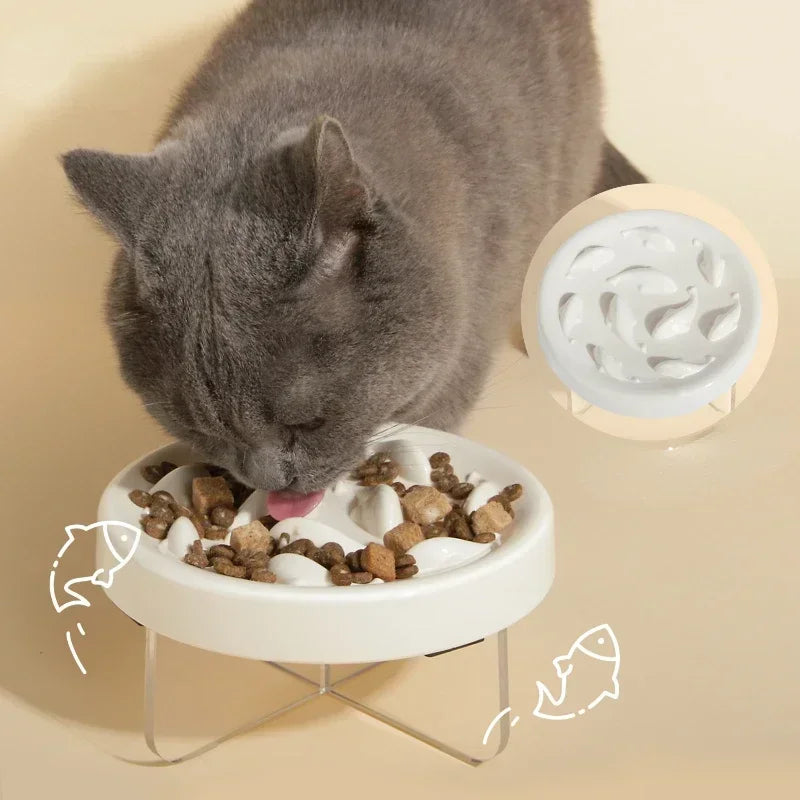Raised Anti-Choke Cat Food Bowl Slow Feeder for Cats