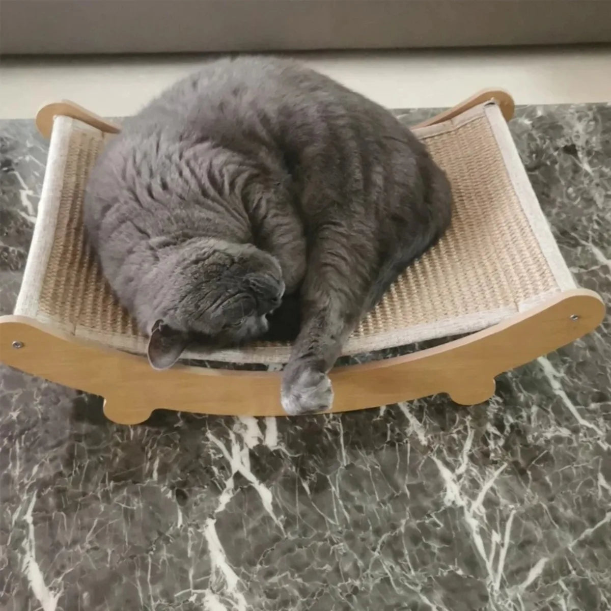 Detachable Wooden Cat Scratcher Bed Grinding Toy for Cats
